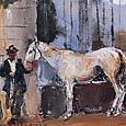 il cavallo bianco